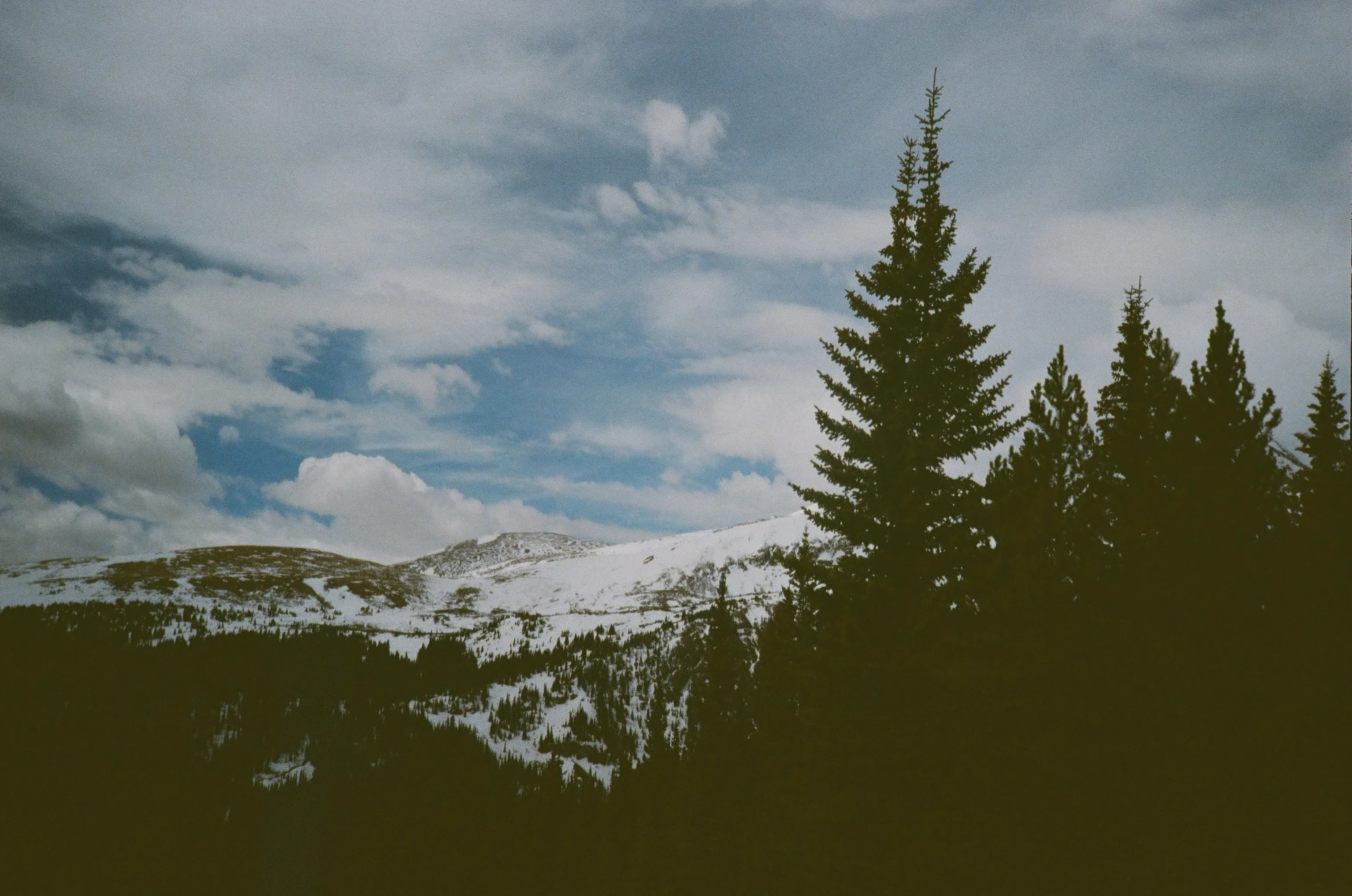 View from treeline