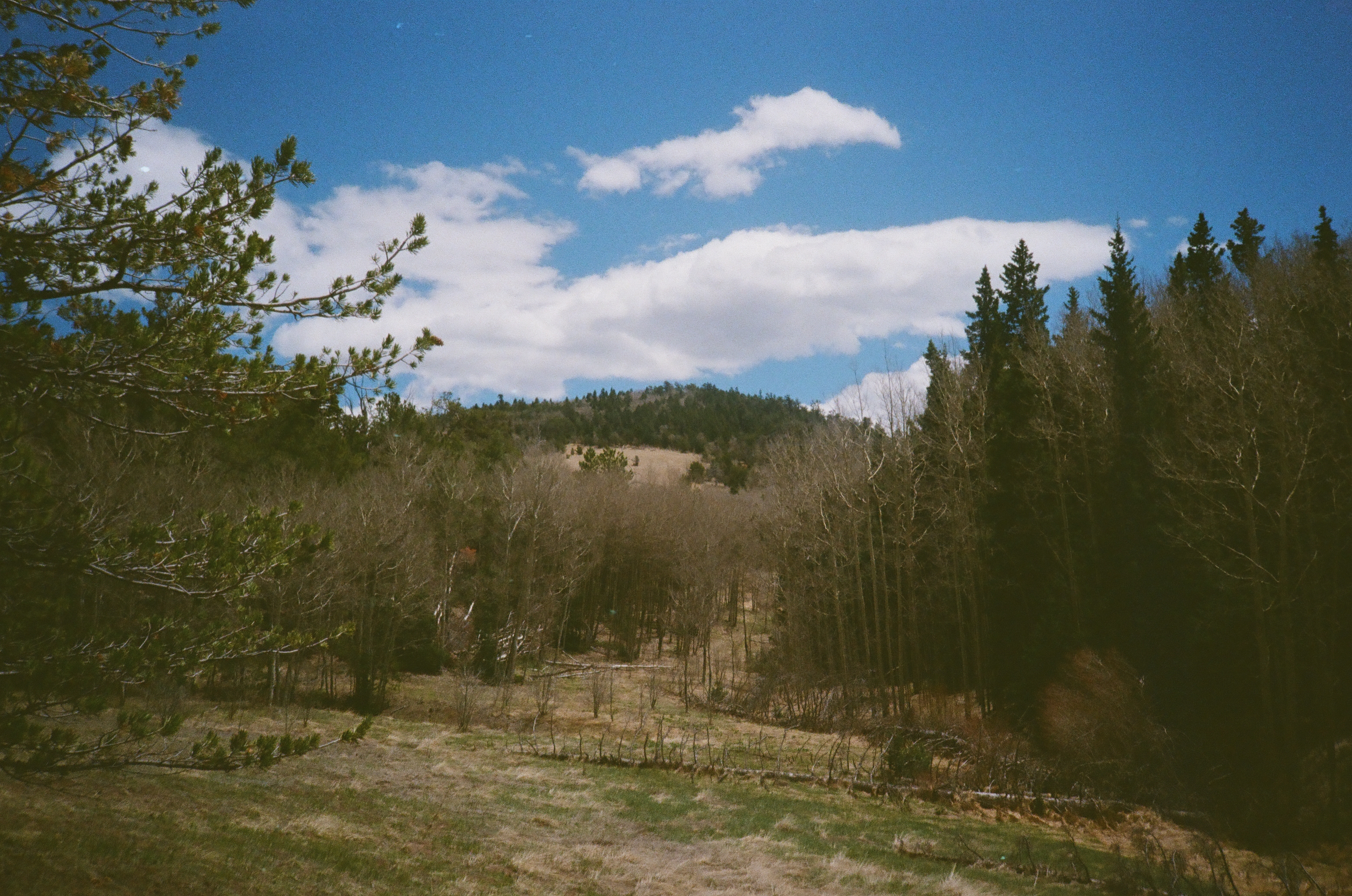 Mosca Creek Hike