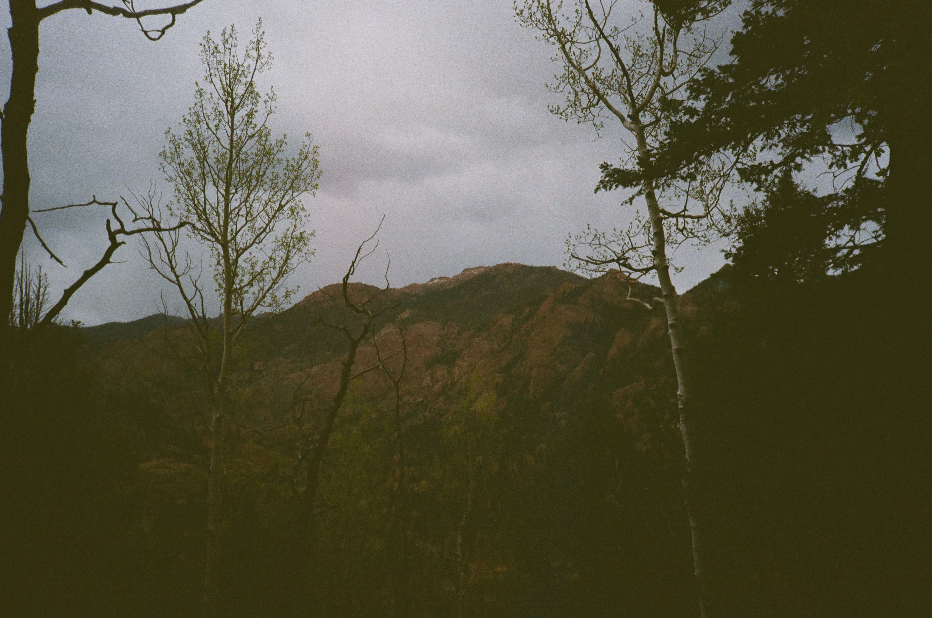 Red rock