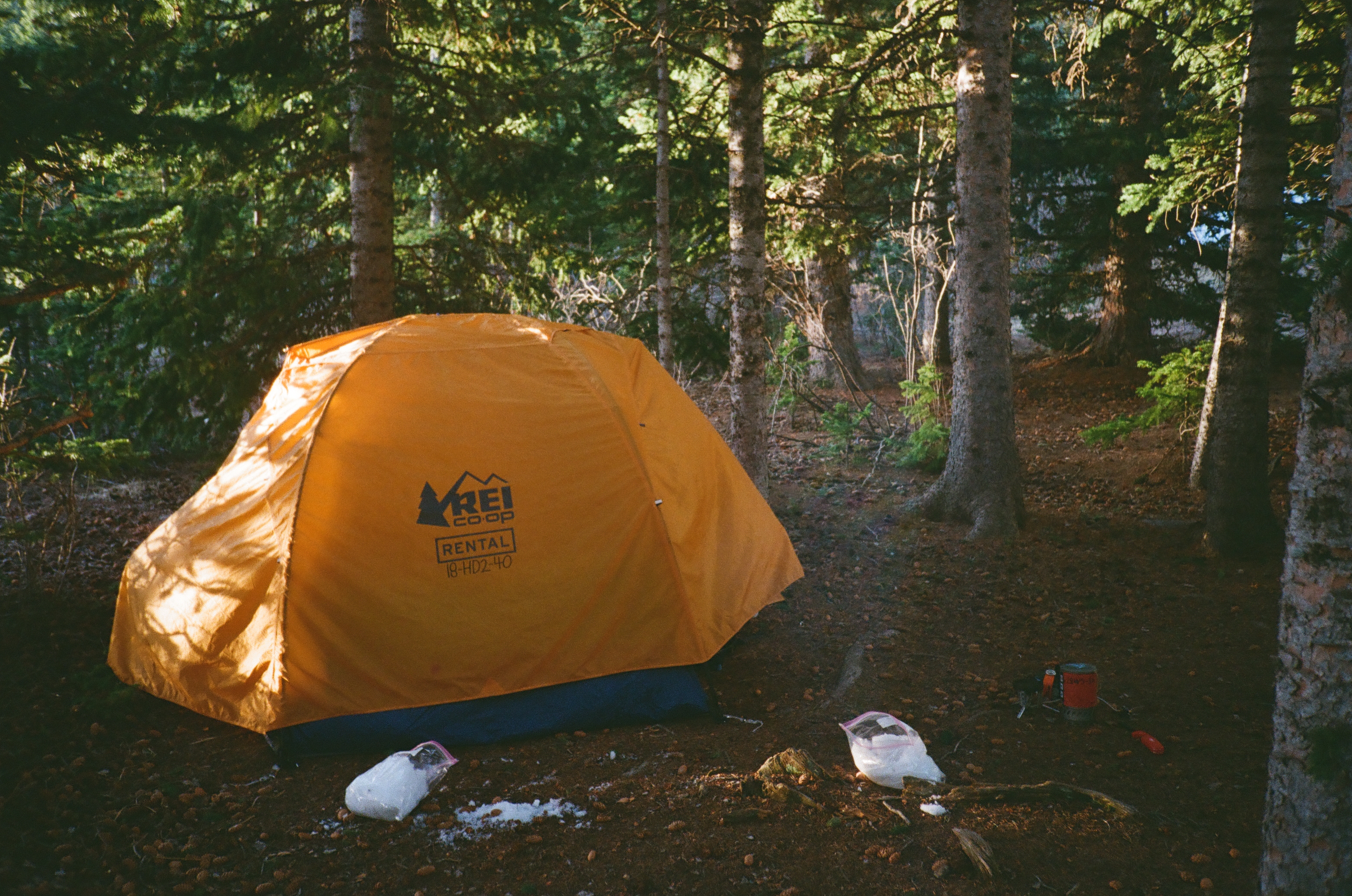 Camp