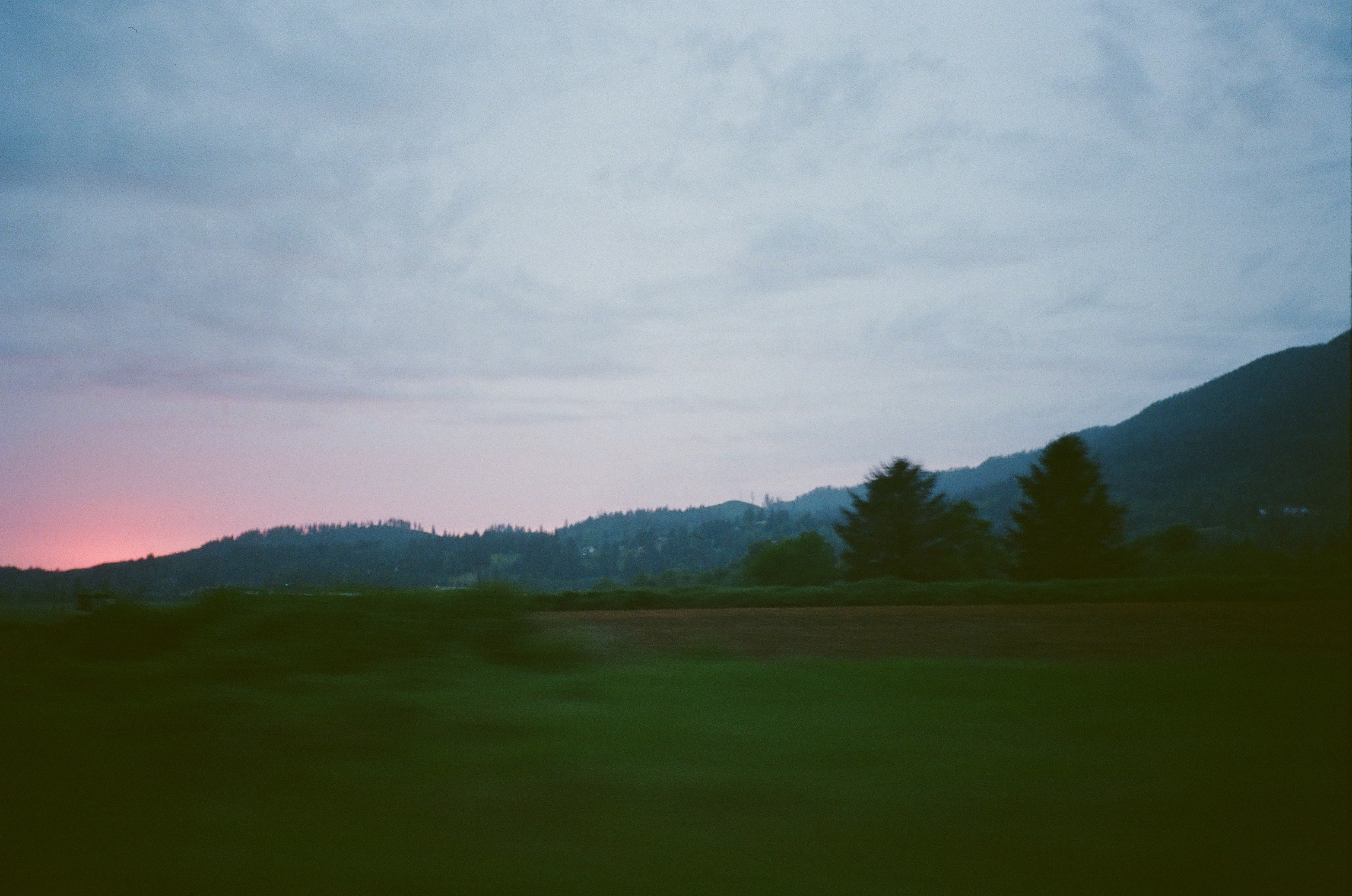 Field sunset