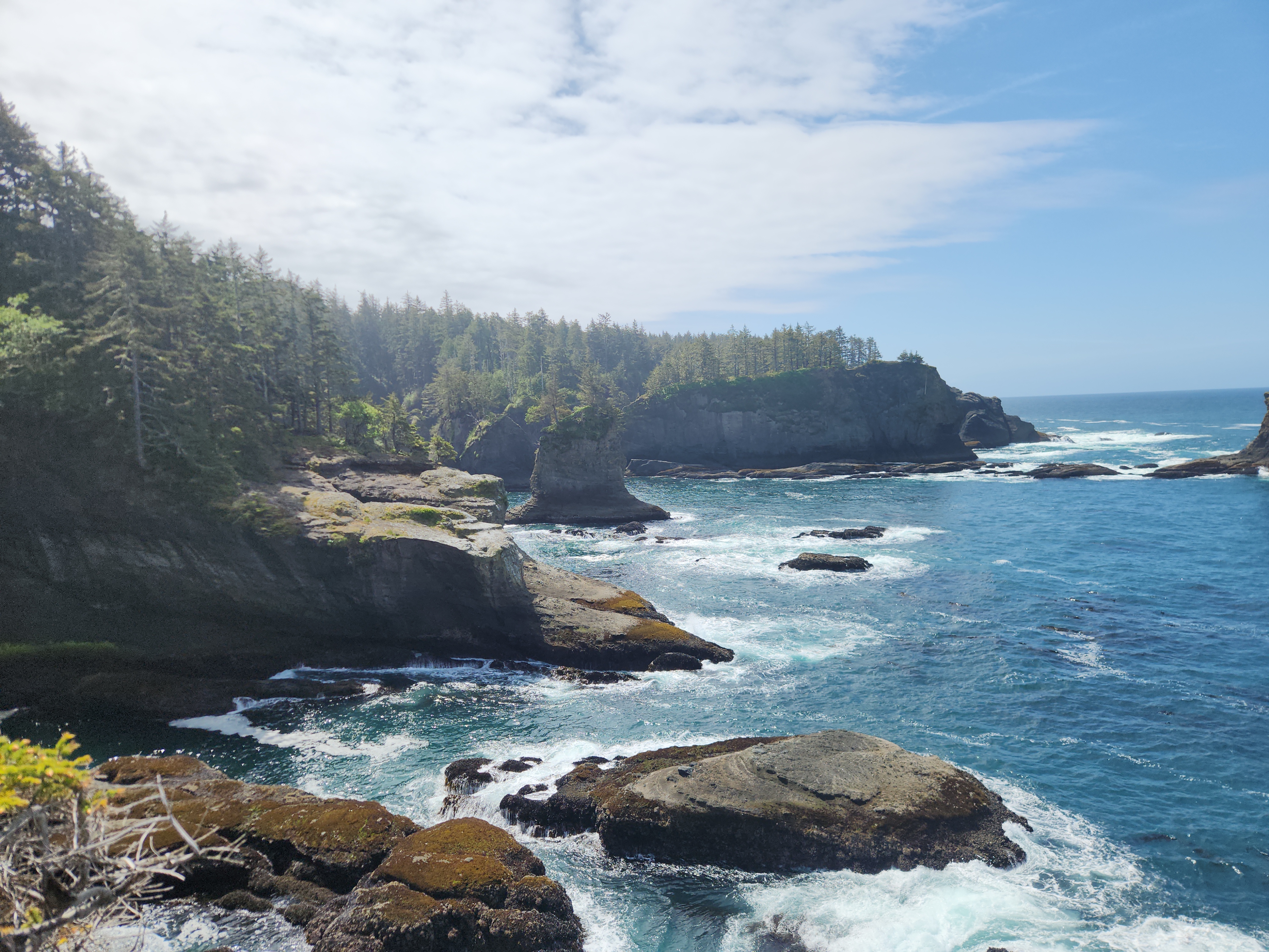 Cape flattery